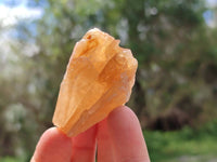 Natural Honey Aragonite Specimens x 74 From Namibia