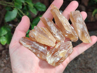 Natural Honey Aragonite Specimens x 74 From Namibia