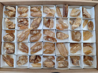 Natural Honey Aragonite Specimens x 74 From Namibia