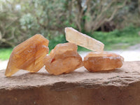 Natural Honey Aragonite Specimens x 74 From Namibia