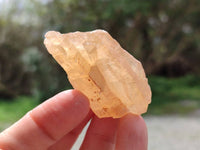 Natural Honey Aragonite Specimens x 74 From Namibia