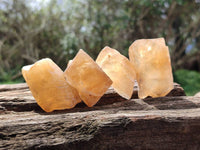 Natural Honey Aragonite Specimens x 74 From Namibia