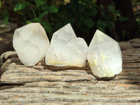 Natural Quartz Crystals x 12 From Madagascar