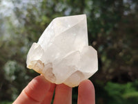 Natural Quartz Crystals x 12 From Madagascar