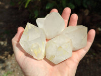 Natural Quartz Crystals x 12 From Madagascar