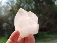 Natural Quartz Crystals x 12 From Madagascar