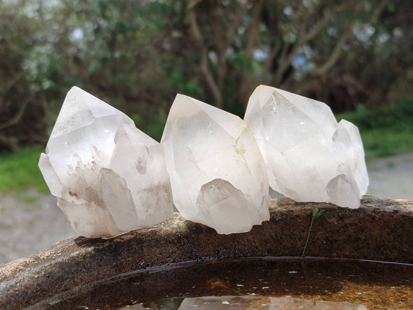 Natural Quartz Crystals x 12 From Madagascar