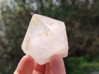 Natural Quartz Crystals x 12 From Madagascar