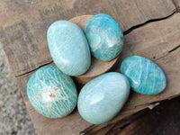 Polished Amazonite Palm Stones x 35 From Madagascar