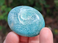 Polished Amazonite Palm Stones x 35 From Madagascar
