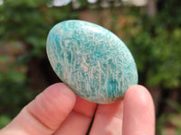 Polished Amazonite Palm Stones x 35 From Madagascar