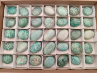 Polished Amazonite Palm Stones x 35 From Madagascar