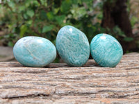 Polished Amazonite Palm Stones x 35 From Madagascar
