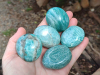 Polished Amazonite Palm Stones x 35 From Madagascar