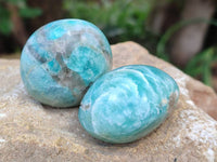 Polished Amazonite Palm Stones x 35 From Madagascar