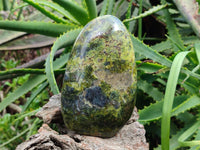 Polished Green Opal Standing Free Form x 3 From Betroka, Madagascar