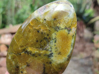 Polished Green Opal Standing Free Form x 3 From Betroka, Madagascar