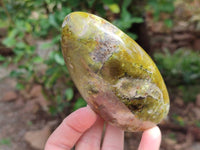 Polished Green Opal Standing Free Form x 3 From Betroka, Madagascar