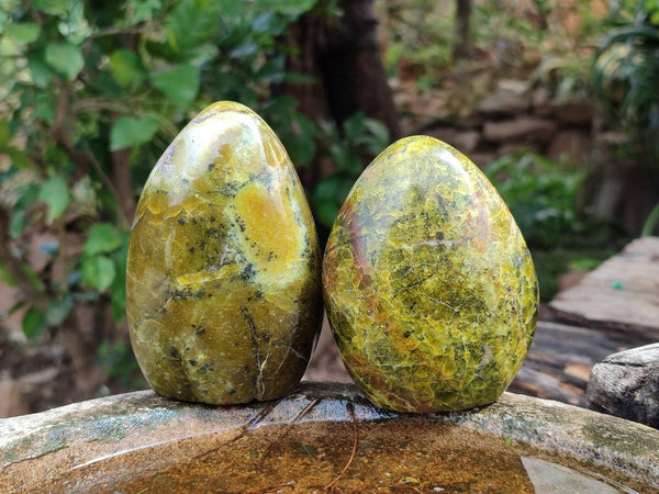 Polished Green Opal Standing Free Form x 3 From Betroka, Madagascar