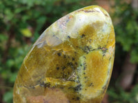 Polished Green Opal Standing Free Form x 3 From Betroka, Madagascar