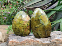 Polished Green Opal Standing Free Form x 3 From Betroka, Madagascar