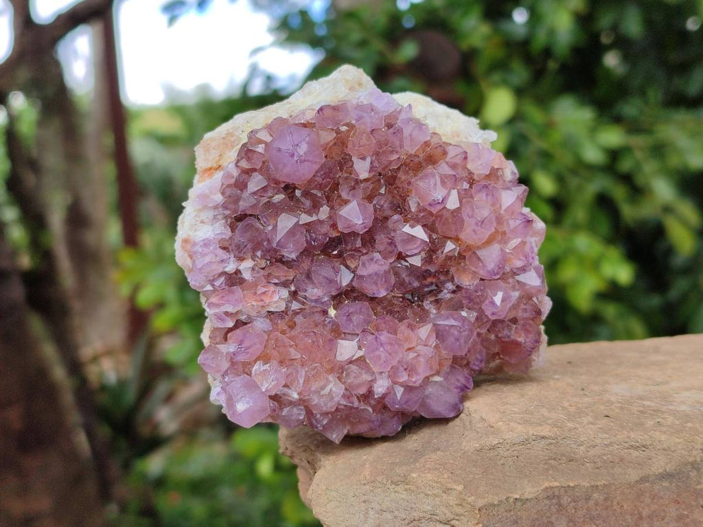 Natural Amethyst Spirit Quartz And Smokey Limonite Clusters x 2 From Boekenhouthoek, South Africa - Toprock Gemstones and Minerals 