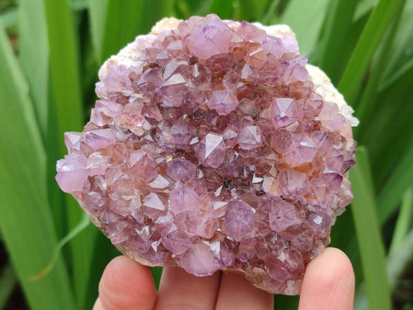 Natural Amethyst Spirit Quartz And Smokey Limonite Clusters x 2 From Boekenhouthoek, South Africa