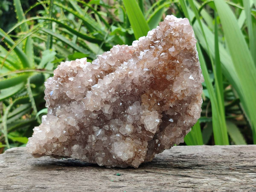 Natural Amethyst Spirit Quartz And Smokey Limonite Clusters x 2 From Boekenhouthoek, South Africa - Toprock Gemstones and Minerals 