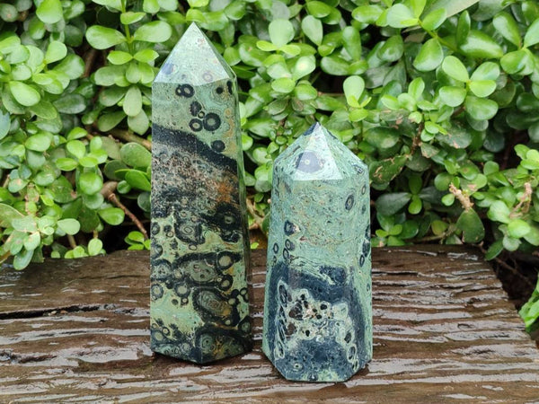Polished Stromatolite Points x 2 From Katsepy, Madagascar