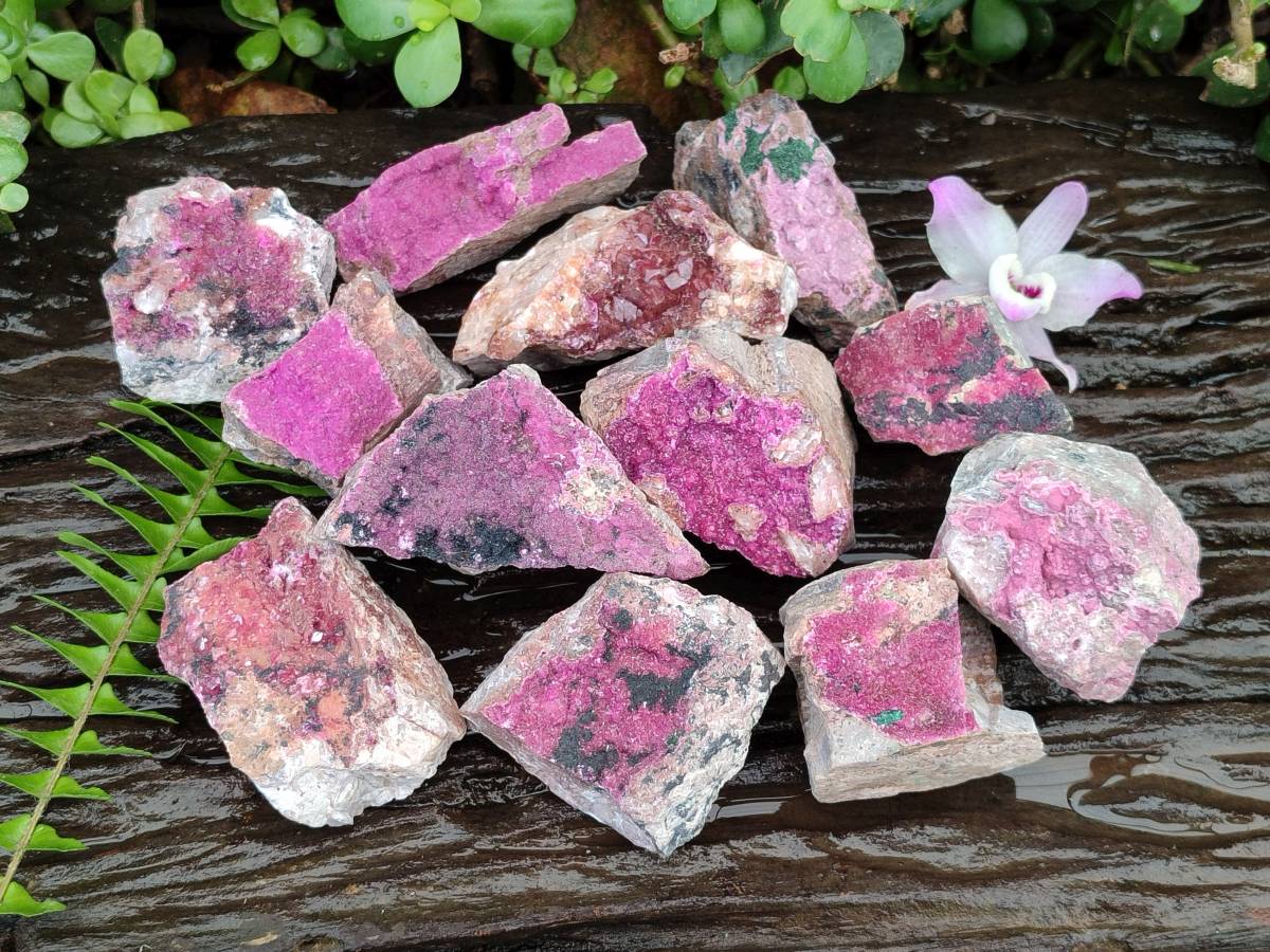 Natural Salrose Cobaltion Dolomite Specimens x 12 From Kakanda, Congo - Toprock Gemstones and Minerals 