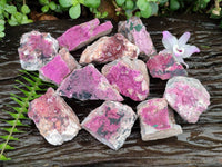 Natural Salrose Cobaltion Dolomite Specimens x 12 From Kakanda, Congo