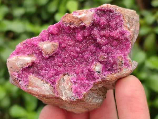 Natural Salrose Cobaltion Dolomite Specimens x 12 From Kakanda, Congo