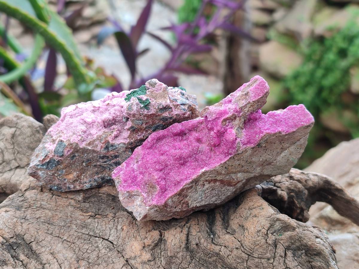 Natural Salrose Cobaltion Dolomite Specimens x 12 From Kakanda, Congo - Toprock Gemstones and Minerals 