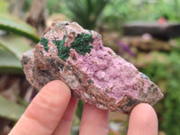 Natural Salrose Cobaltion Dolomite Specimens x 12 From Kakanda, Congo