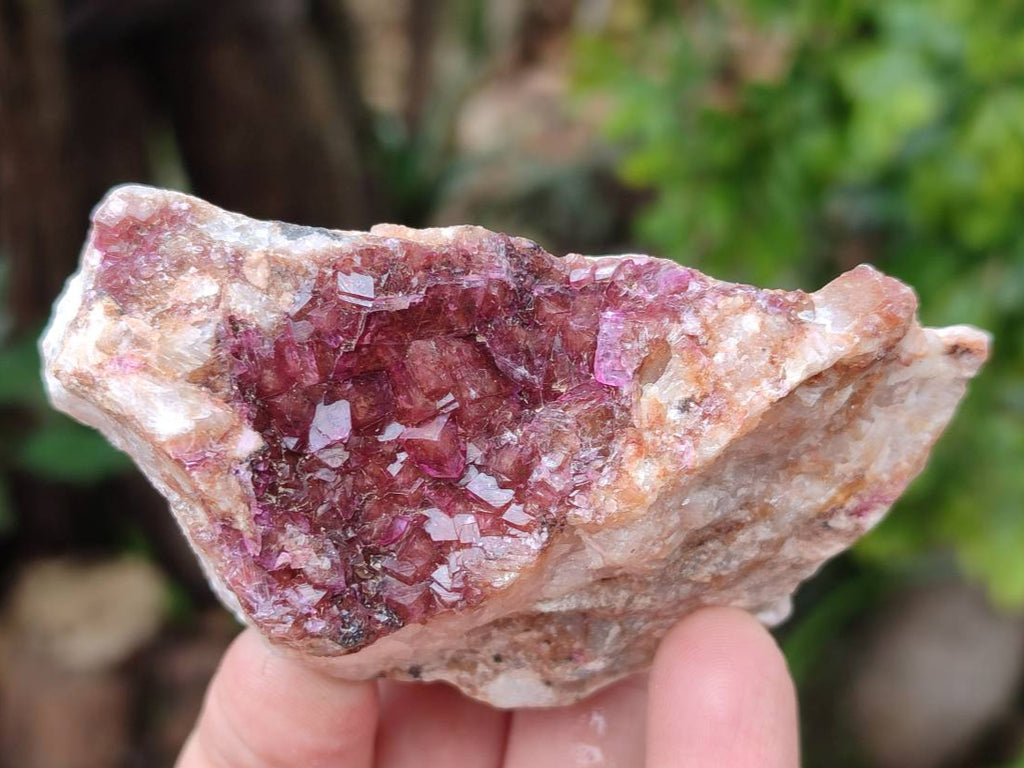 Natural Salrose Cobaltion Dolomite Specimens x 12 From Kakanda, Congo - Toprock Gemstones and Minerals 