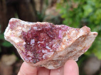 Natural Salrose Cobaltion Dolomite Specimens x 12 From Kakanda, Congo