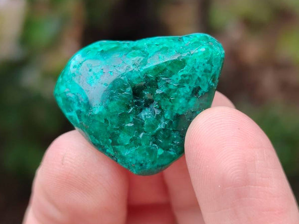 Polished Dioptase Free Forms x 30 From Likasi, Congo