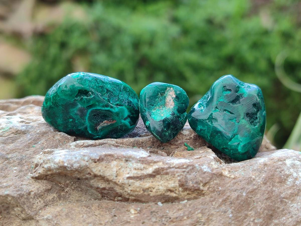 Polished Dioptase Free Forms x 30 From Likasi, Congo - Toprock Gemstones and Minerals 