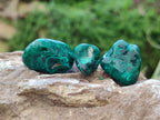 Polished Dioptase Free Forms x 30 From Likasi, Congo - Toprock Gemstones and Minerals 