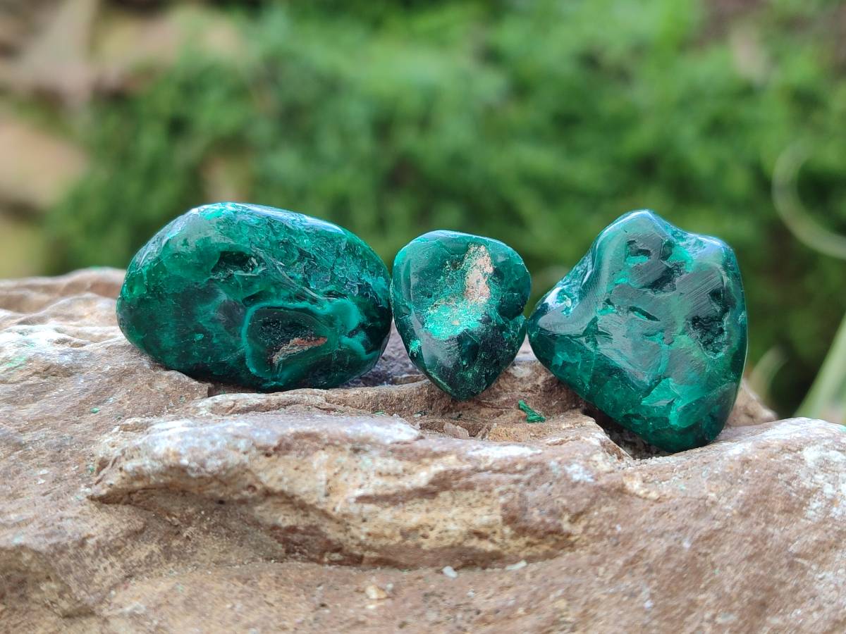 Polished Dioptase Free Forms x 30 From Likasi, Congo - Toprock Gemstones and Minerals 