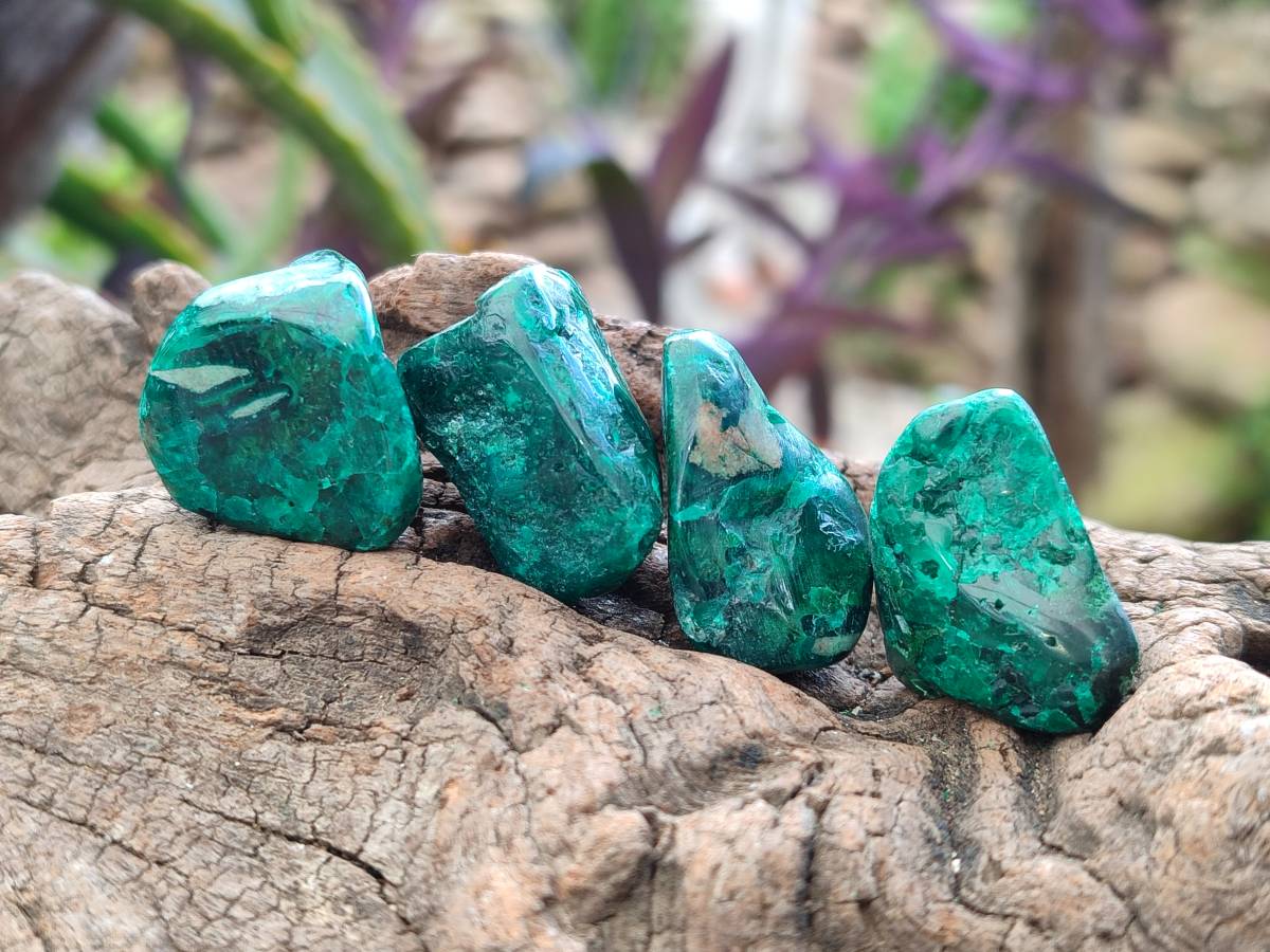 Polished Dioptase Free Forms x 30 From Likasi, Congo - Toprock Gemstones and Minerals 