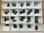 Polished Dioptase Free Forms x 30 From Likasi, Congo - Toprock Gemstones and Minerals 
