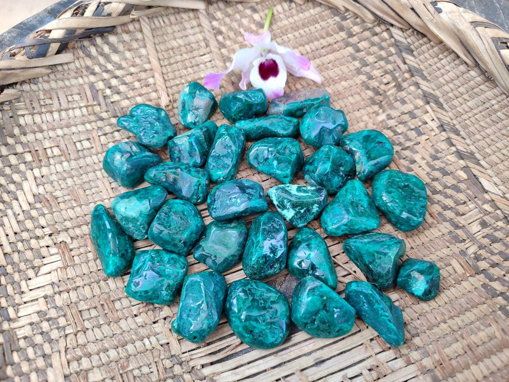 Polished Dioptase Free Forms x 30 From Likasi, Congo - Toprock Gemstones and Minerals 