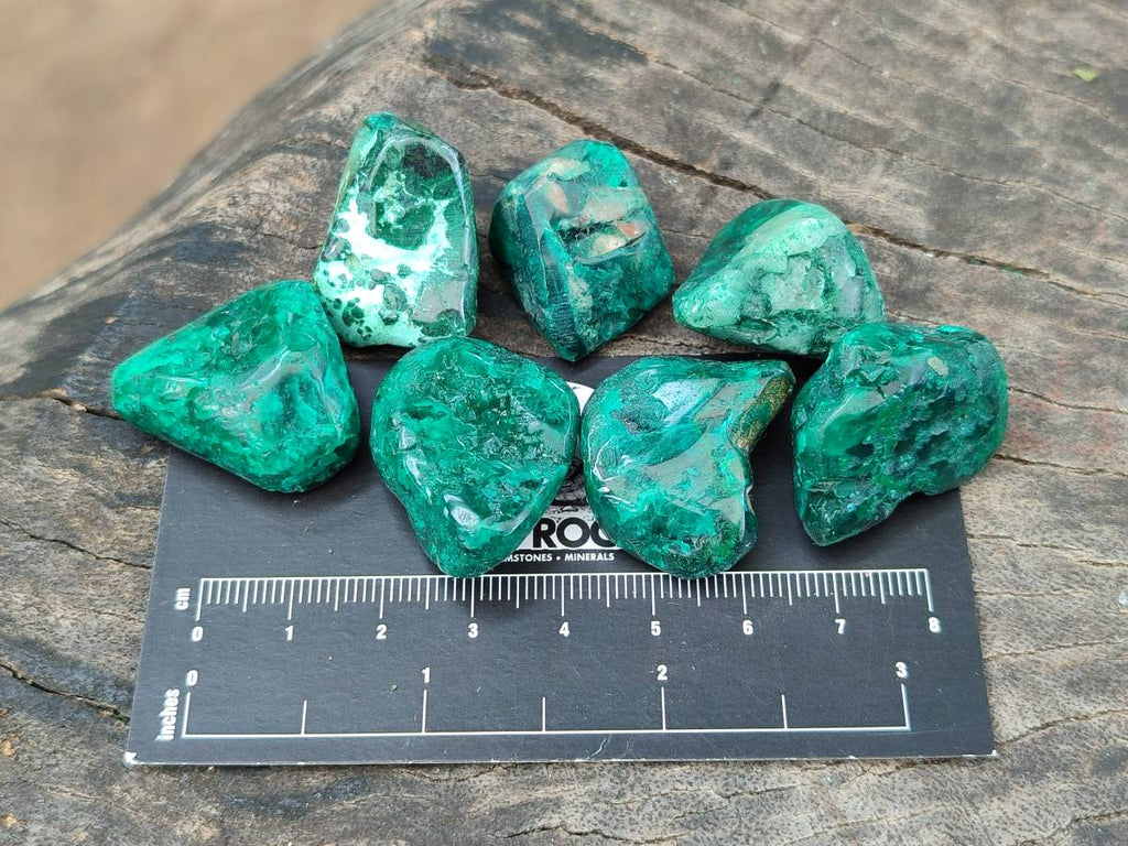 Polished Dioptase Free Forms x 30 From Likasi, Congo - Toprock Gemstones and Minerals 