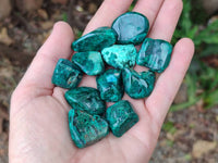Polished Dioptase Free Forms x 30 From Likasi, Congo