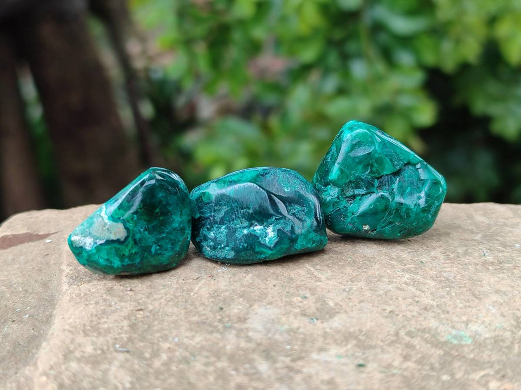 Polished Dioptase Free Forms x 30 From Likasi, Congo - Toprock Gemstones and Minerals 