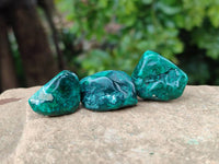 Polished Dioptase Free Forms x 30 From Likasi, Congo