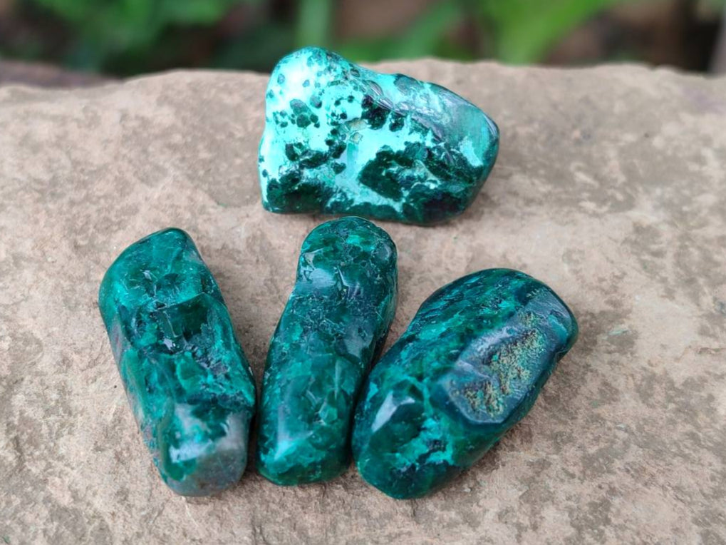 Polished Dioptase Free Forms x 30 From Likasi, Congo - Toprock Gemstones and Minerals 