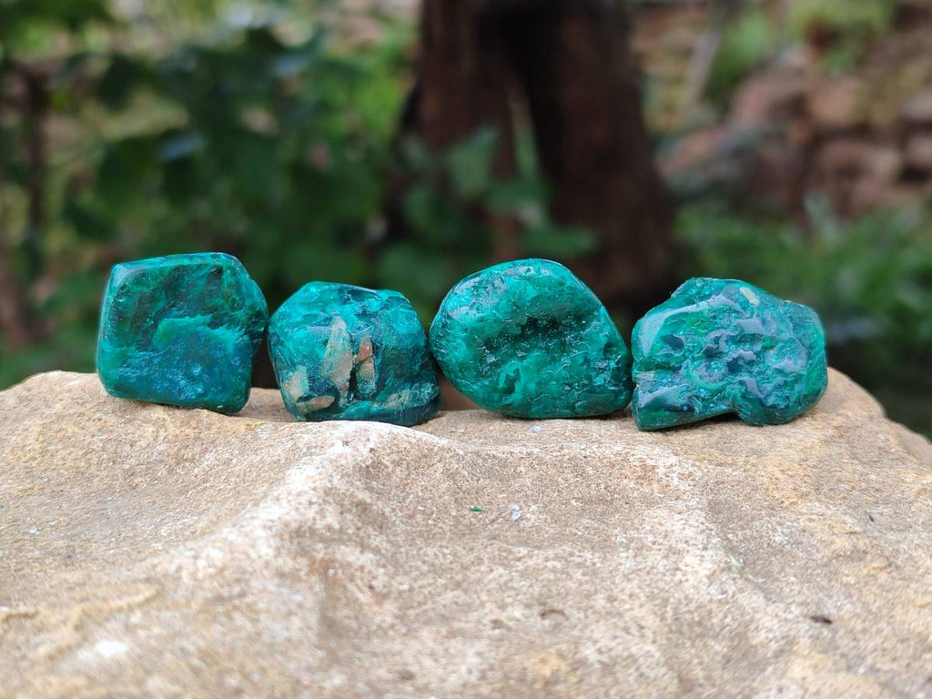 Polished Dioptase Free Forms x 30 From Likasi, Congo - Toprock Gemstones and Minerals 