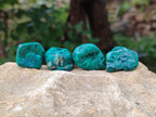 Polished Dioptase Free Forms x 30 From Likasi, Congo - Toprock Gemstones and Minerals 